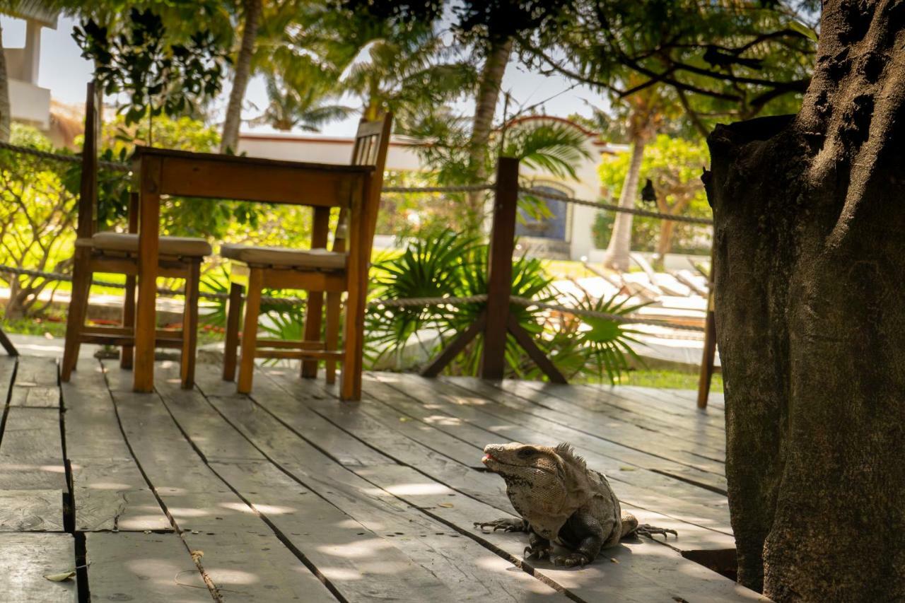 Marina Paraiso Isla Mujeres Hotel Bagian luar foto